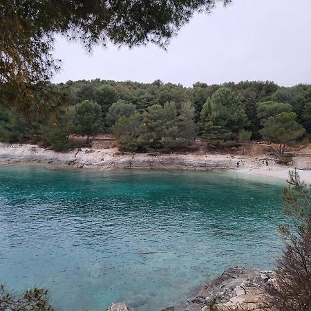 Studio Apartment City With Free Parking Πούλα Εξωτερικό φωτογραφία